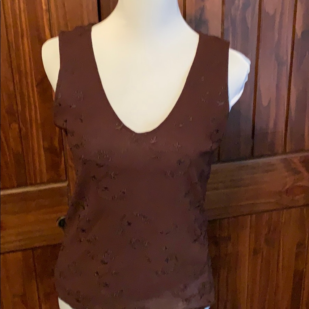 NWT sleeveless brown top with sheer overlay